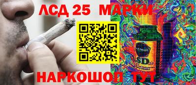 ПСИЛОЦИБИНОВЫЕ ГРИБЫ Краснокаменск