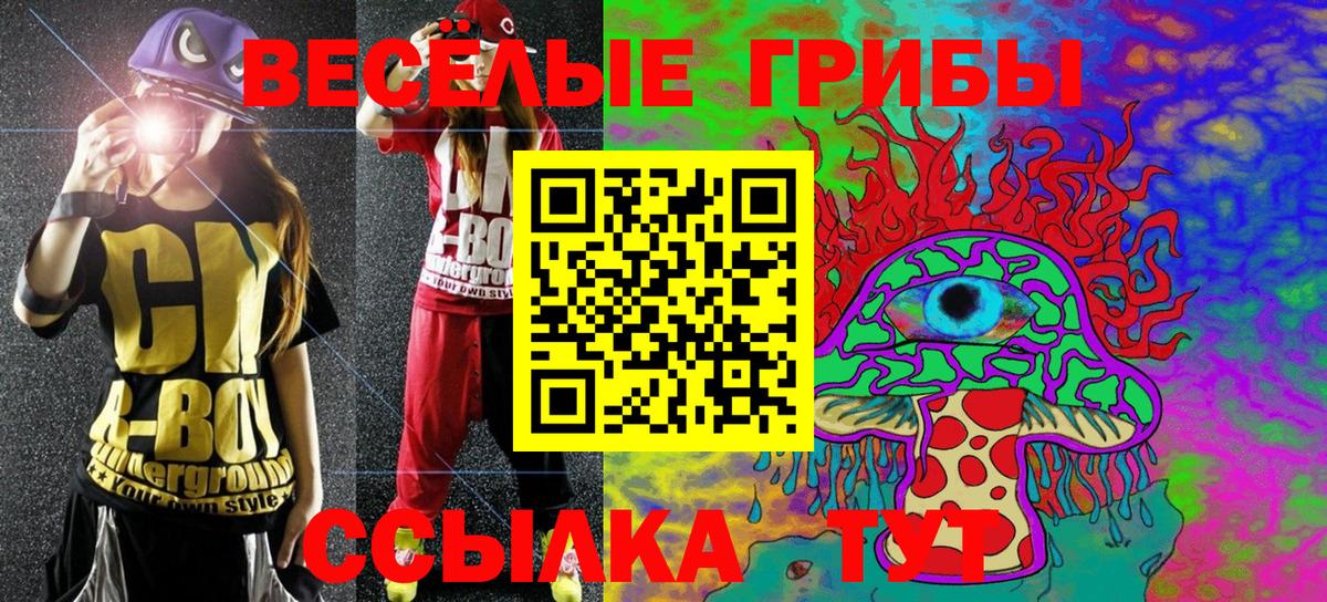 Галлюциногенные грибы Psilocybe  Вход с VPN  Камень-на-Оби  Галлюциногенные грибы мухоморы 